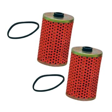 2Pcs Fuel Filter with Gasket 001081778R93 For Mahindra