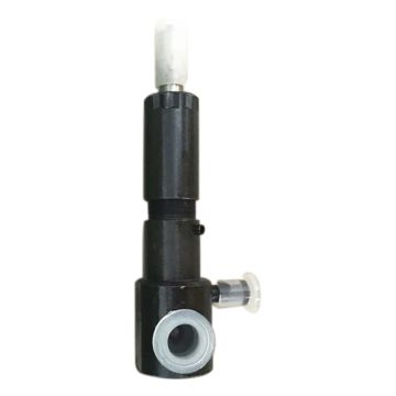 Fuel Injector Assy For Kipor