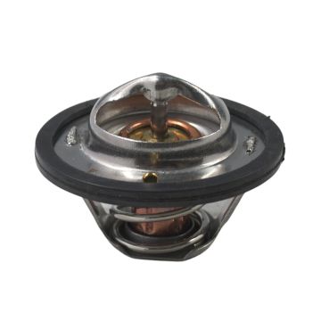 Thermostat 273091C1 For Case