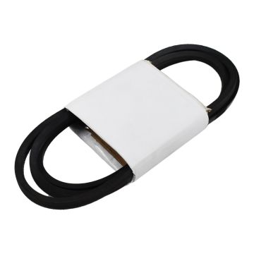 Laundry 80" V-Belt M412981 For Alliance