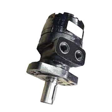 Hydraulic Motor for Excavator Crane Tractor Combine Dozer Aftermarket BMER-2-750-MS-G2-R-B 505750A3120AAAAA for Danfoss