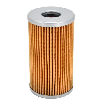 Fuel Filter SBA130366060 for Ford