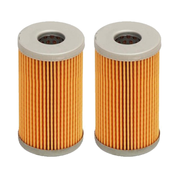 2PCS Fuel Filter 3702815M1 1A001-43160 15521-43160