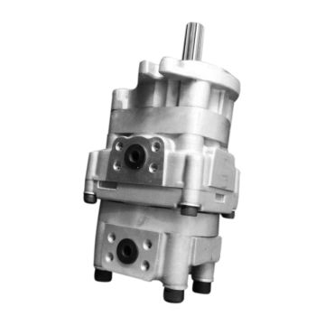 Hydraulic Pump 705-41-06010 for Komatsu