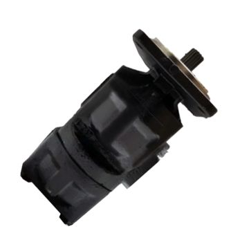 Hydraulic Pump 79910078 600663-0004 for CASAPPA