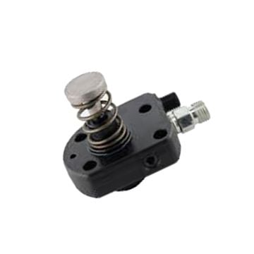 Injection Pump Plunger 294090-0250 294090-0360 294090-2160 for Denso