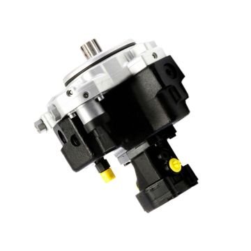 Fuel Injection Pump 0445020202 for Man