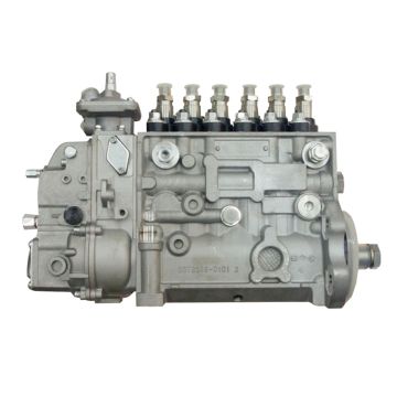 Fuel Injection Pump 4994276 for Cummins