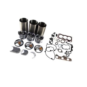 Overhaul Rebuild Kit L295DT  for Kubota