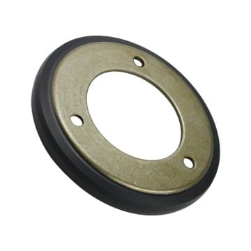 Friction Disc 03248300 M110594