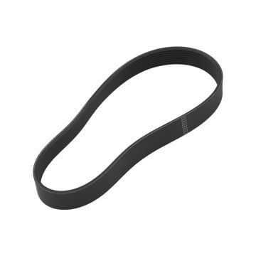 Drive Belt 1000109551