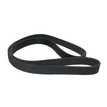 V-Ribbed Drive Belt 3101314 For Cummins