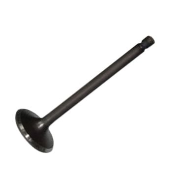 Valve Exhaust 1125520280 For Isuzu