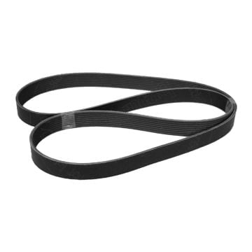 Fan Belt 8pk1665 for Hyundai