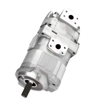 Hydraulic Gear Pump 705-52-20100 For Komatsu
