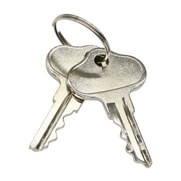 2PCS Ignition Keys IH-131313-C2 For Cub Cadet