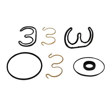 Seal Kit 7007489 For JLG