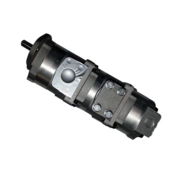 Hydraulic Pump 705-55-13020 For Komatsu