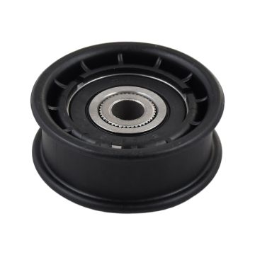 Flat Idler Pulley 604491