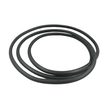 Sunroof Weatherstrip Glass Seal 22815954