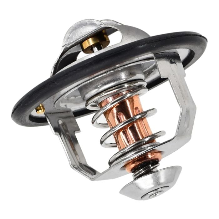 Thermostat 1137700700 for Hitachi main product photo