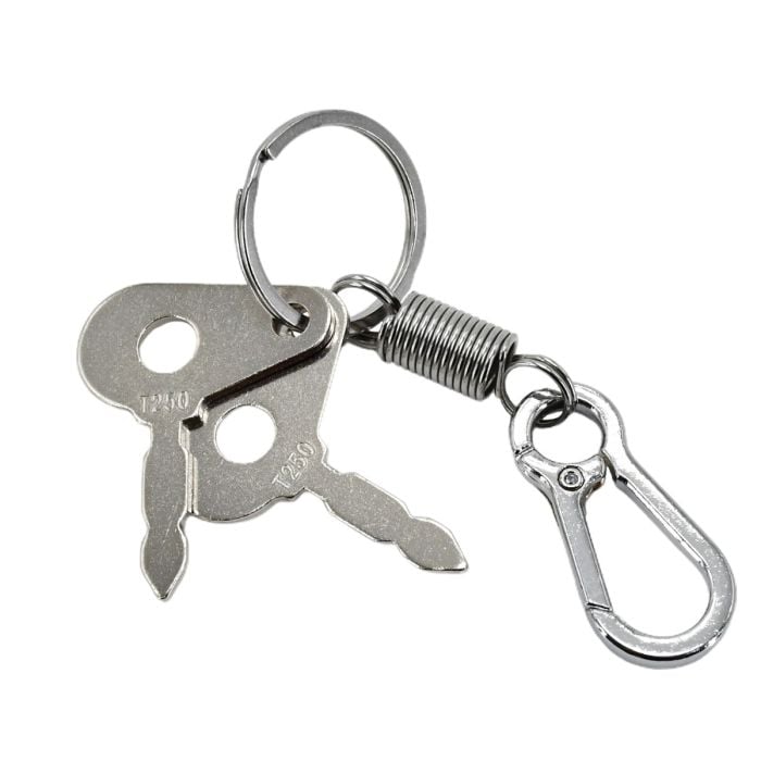 2 Sets of T250 3107556R1 Ignition Key for International for Case for Massey Ferguson main product photo