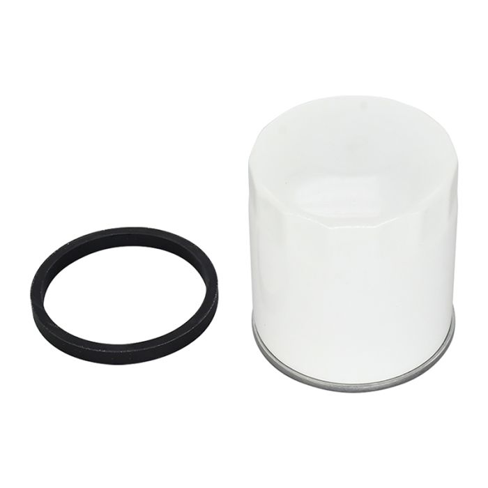 Oil Filter P502022 for JLG main product photo
