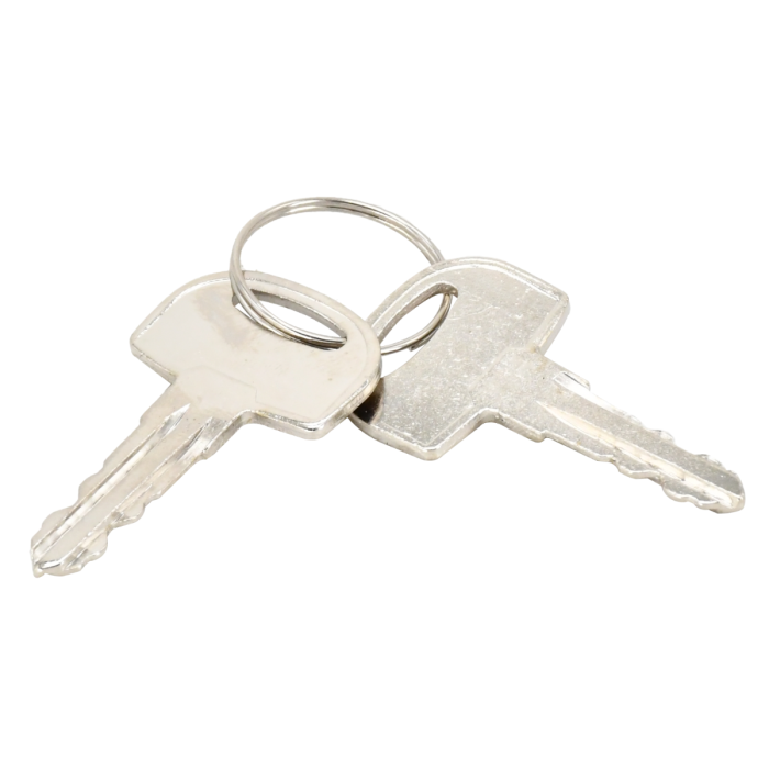 2Pcs Ignition Keys 105-1790 for Terex main product photo