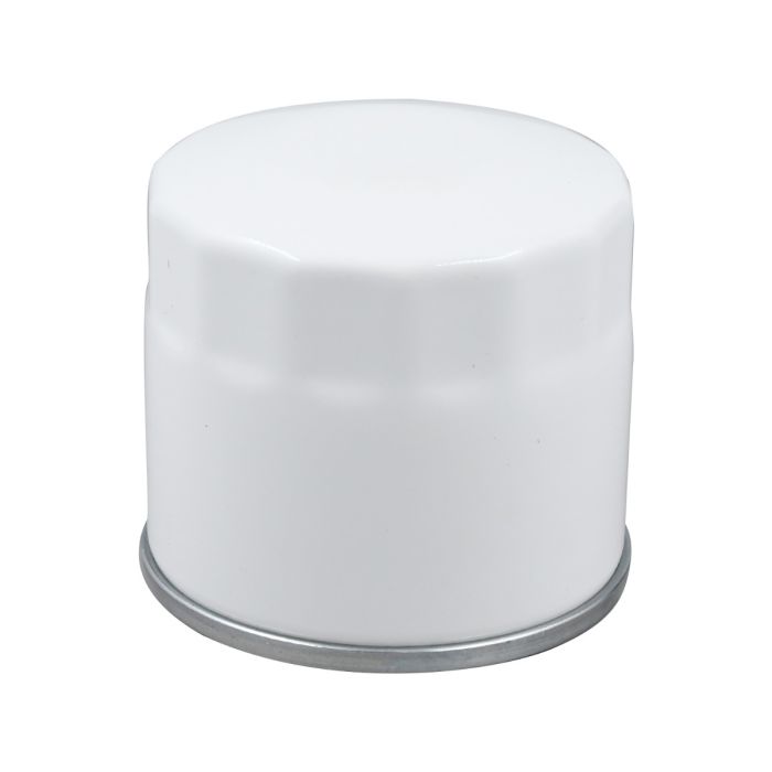 Engine Oil Filter A-6671057 For Bobcat main product photo
