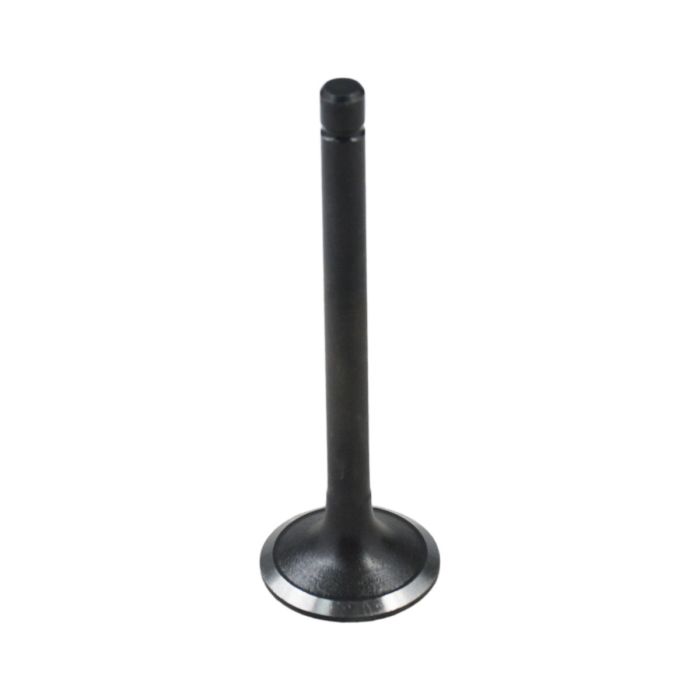 Intake Valve 25-38087-00 For Carrier main product photo