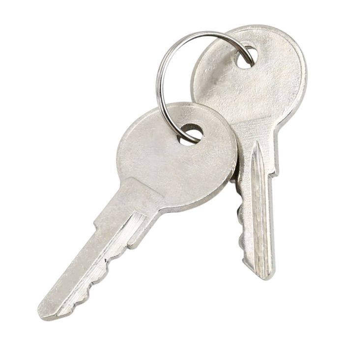 2Pcs Ignition Keys AM101561 For John Deere main product photo