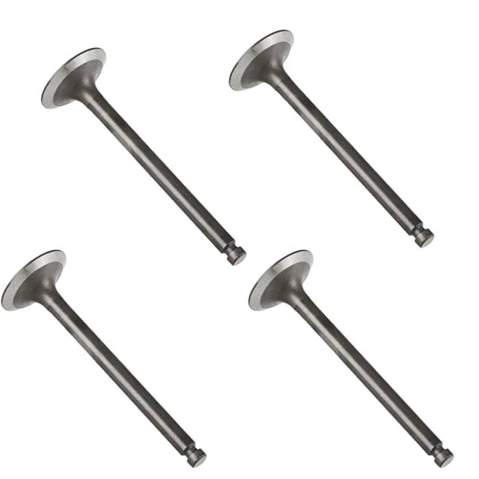 Intake Valve YM129100-11100 for Yanmar main product photo
