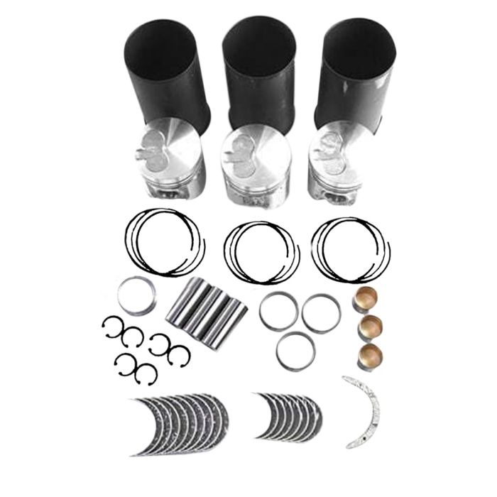 Overhaul Rebuild Kit STD BSU19 For Kubota main product photo
