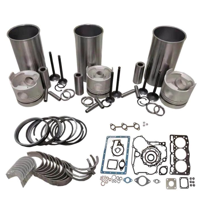 Overhaul Rebuild Kit AZD000032 For Yanmar main product photo