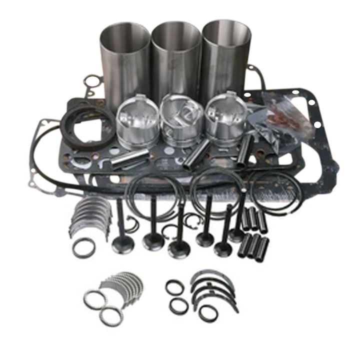 Overhaul Rebuild Kit ZD00000330 For Kubota main product photo