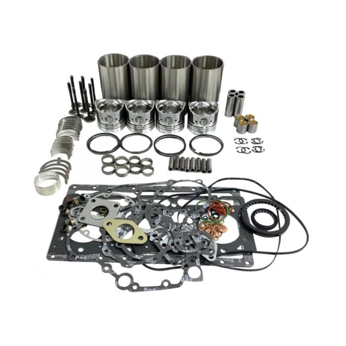 Overhaul Rebuild Kit RIHD002271A For Kubota main product photo