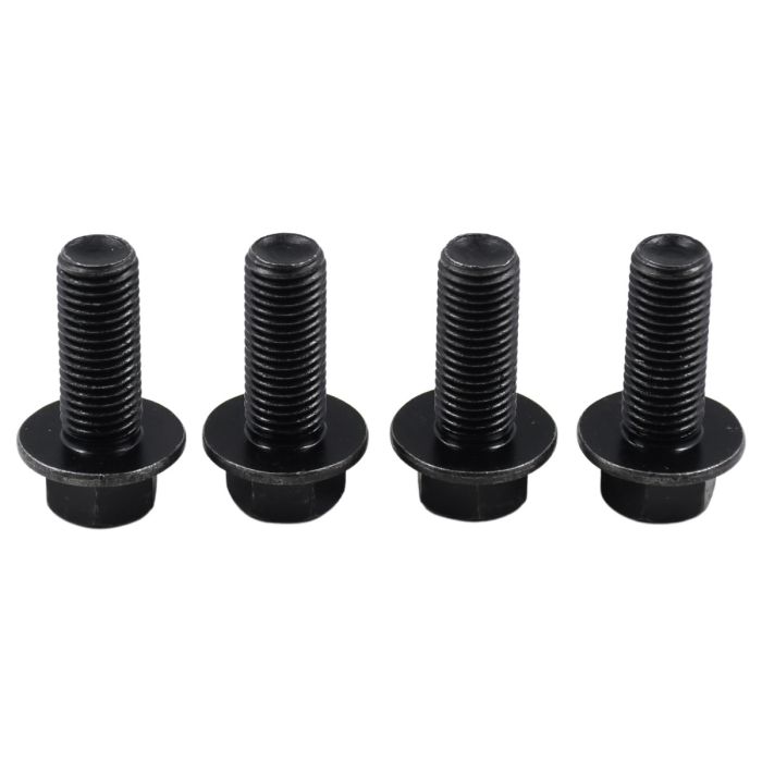 Foot Peg Bolts 95817-10025-00 for Yamaha main product photo