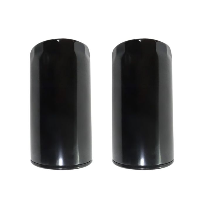 Oil Filter 2pcs 006002508F1 For Mahindra main product photo