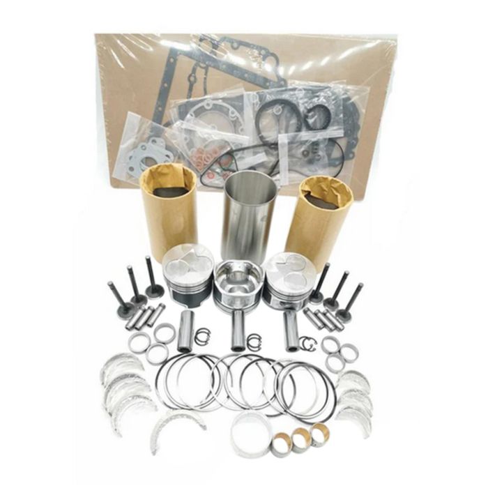 Overhaul Rebuild Kit D1105 For Kubota main product photo