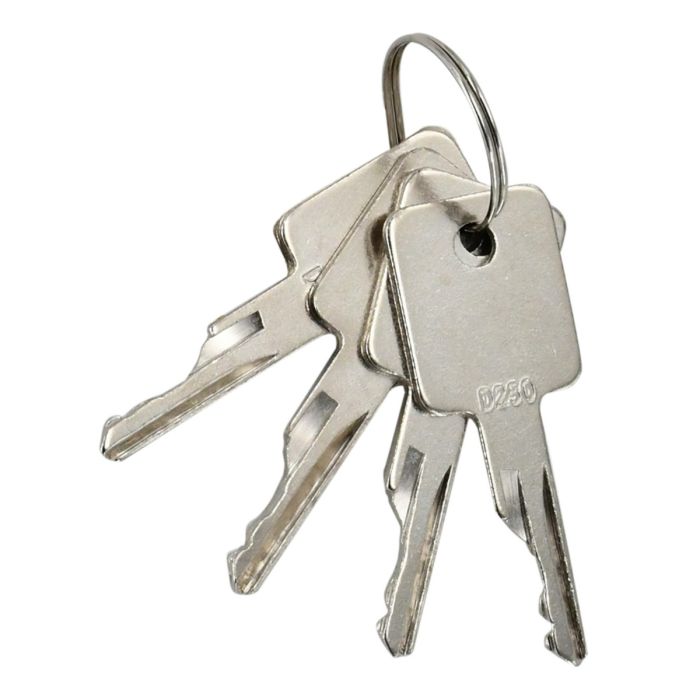 4 Pcs Ignition Keys D250 For Bobcat main product photo
