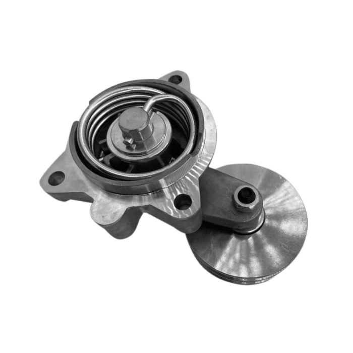 Double Belt Tensioner Idler Pulley For Deutz main product photo