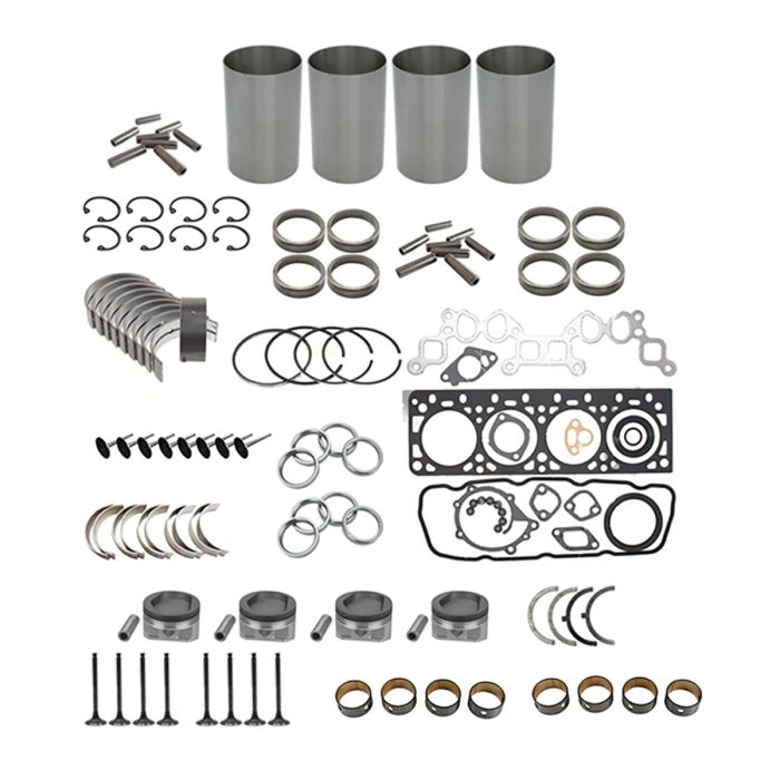 Overhaul Rebuild Kit 10101-FY52K For Nissan main product photo