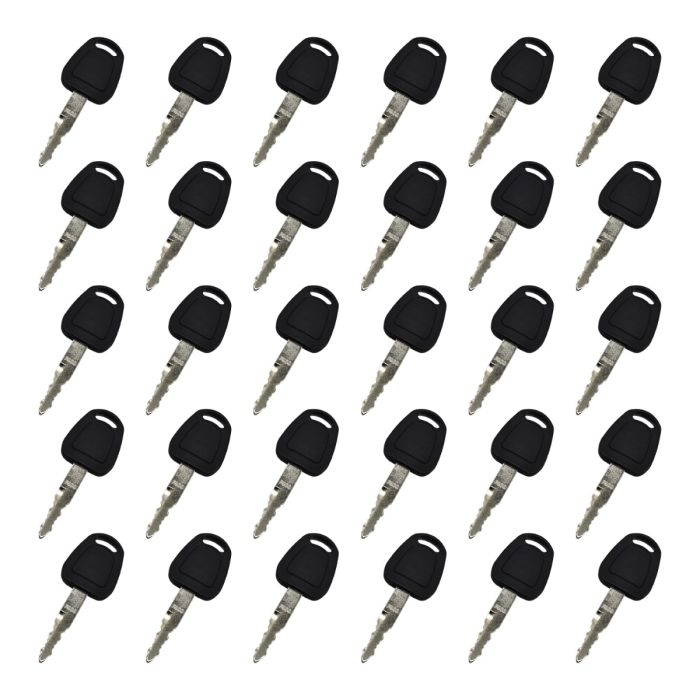 30 Pcs Ignition Keys F900 K1009605B For Bobcat main product photo