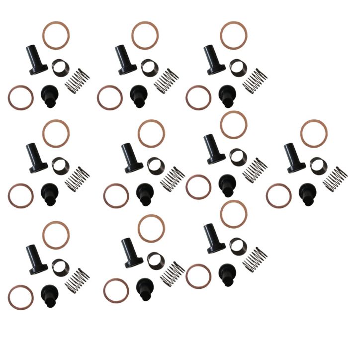 10 Sets Aftermarket Repair Kit 2447010011 for Bosch main product photo