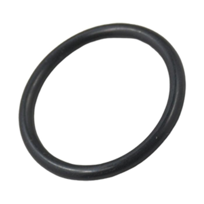 Oil Tube O-Ring 53020861 main product photo