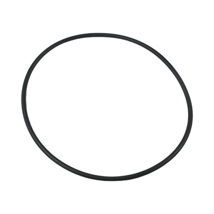 O-Ring 87300400 For Pentair main product photo