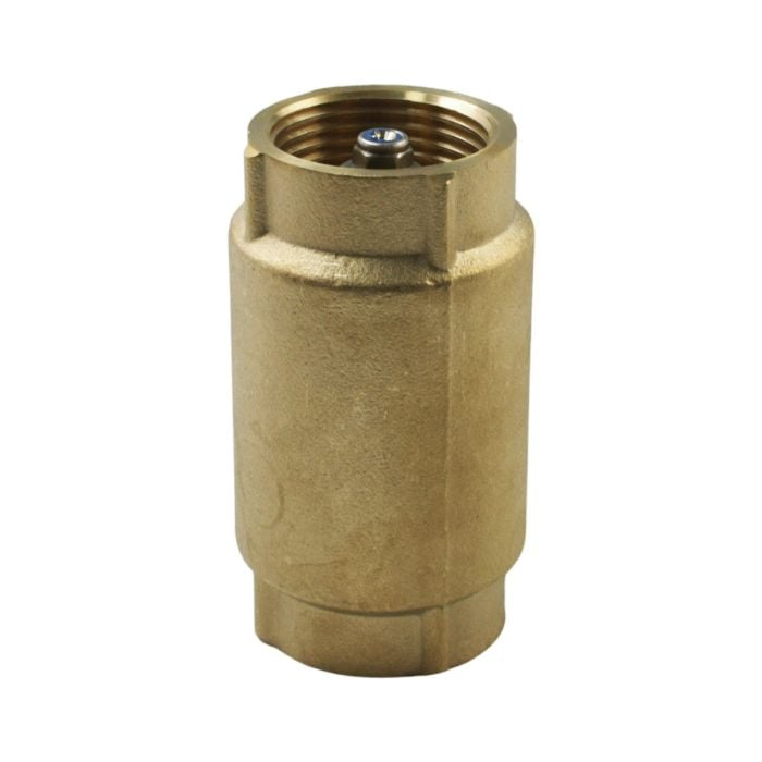 1" FNPT x 1" FNPT Check Valve CVNL100 main product photo