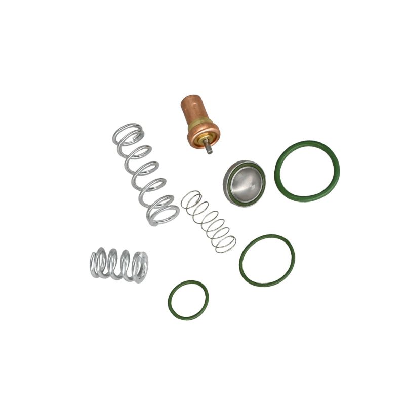 Thermostatic Minimum Pressure Valve Repair Kit 2901109500 Atlas Copco