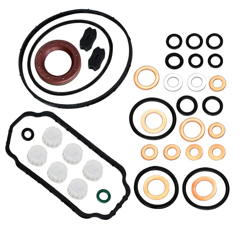 Bosch VE Injection Pump Gasket &amp; Seal Rebuild Kit For Diesel Dodge Cummins 1215102